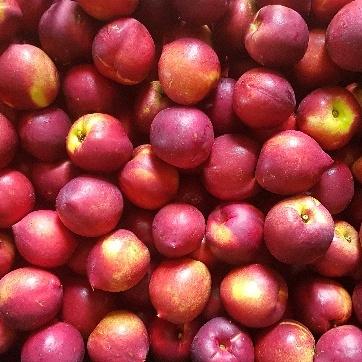 Nectarines, featured in the Joy Wholefoods online store.