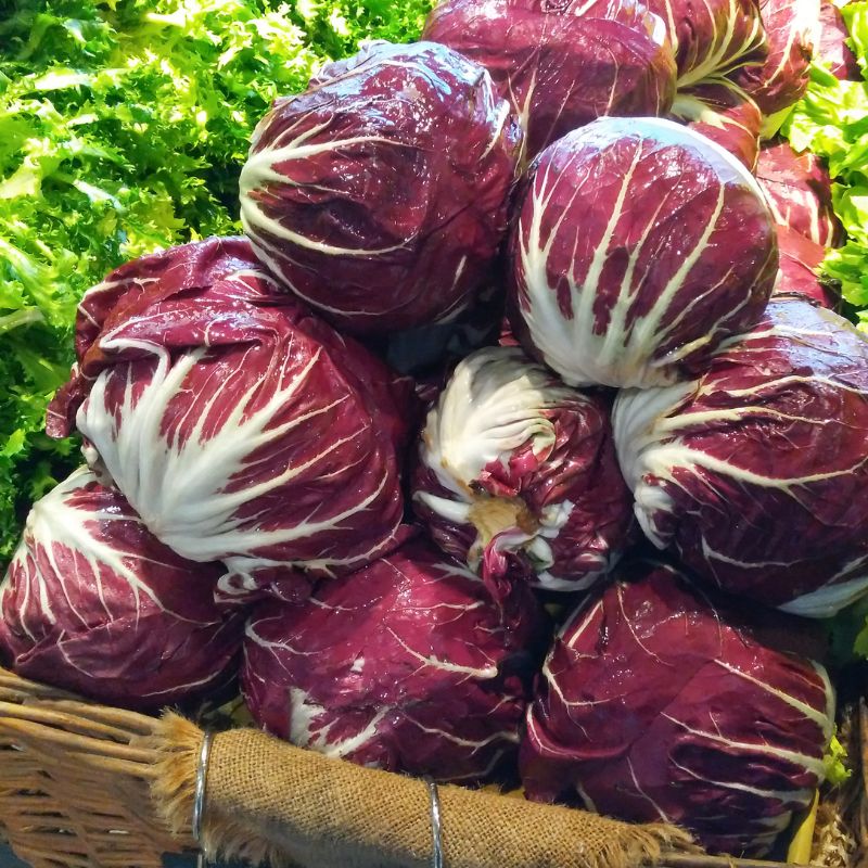 Basket of locally grown organic, spray free radicchio lettuce with green leaves in the background