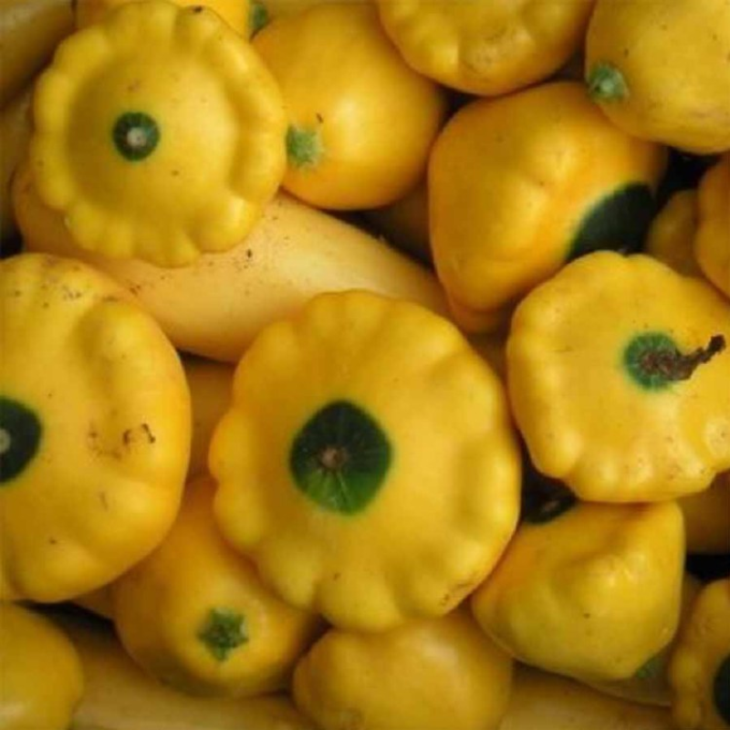 Spray Free Farmacy Squash Gold, featured in the Joy Wholefoods online store.