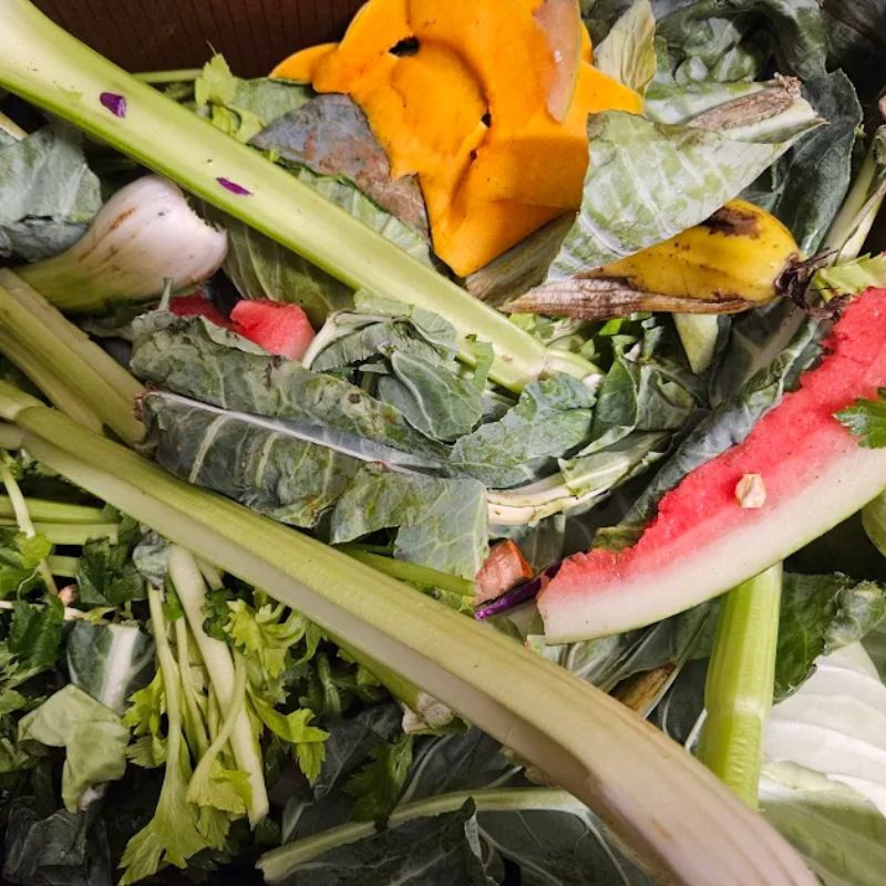 a box of vegetable scraps perfect for chickens