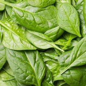 Baby spinach, stocked at Joy Wholefoods, organic and spray free.