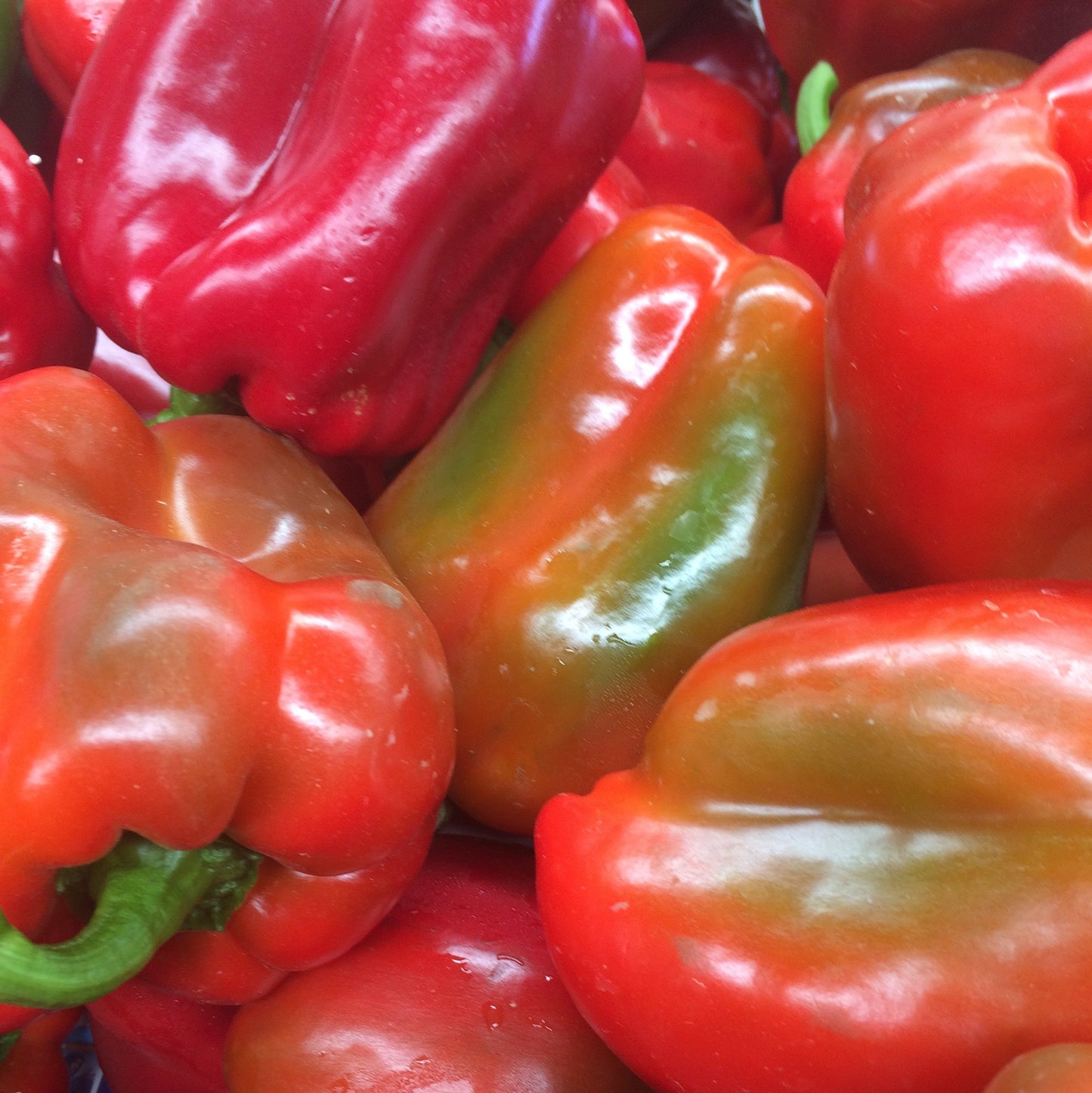 Capsicum, stocked at Joy Wholefoods, organic and spray free.