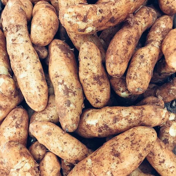 Kipflers potatoes organic fruit vegetable Brisbane, delivered fresh by Joy Wholefoods.