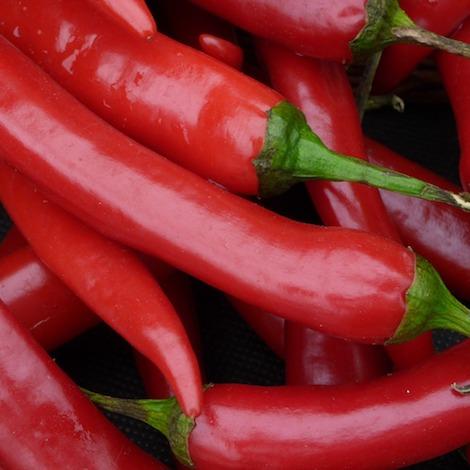 Chillies long red organic fruit vegetable Brisbane, delivered fresh by Joy Wholefoods.