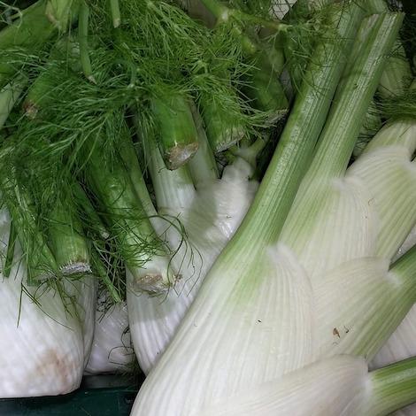 Fennel organic fruit vegetable salad vegan Brisbane, stocked at Joy Wholefoods, organic and spray free.