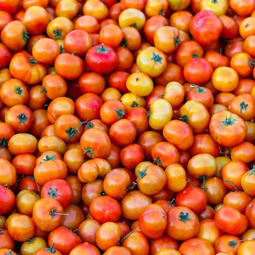 Tomatoes organic vegetables fruit Brisbane, available from Joy Wholefoods.