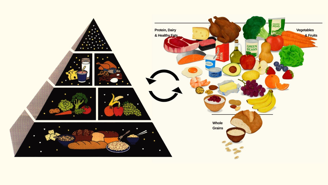 Illustration comparing a food pyramid and a whole foods diagram, explaining balanced nutrition and healthy food choices in an educational blog post