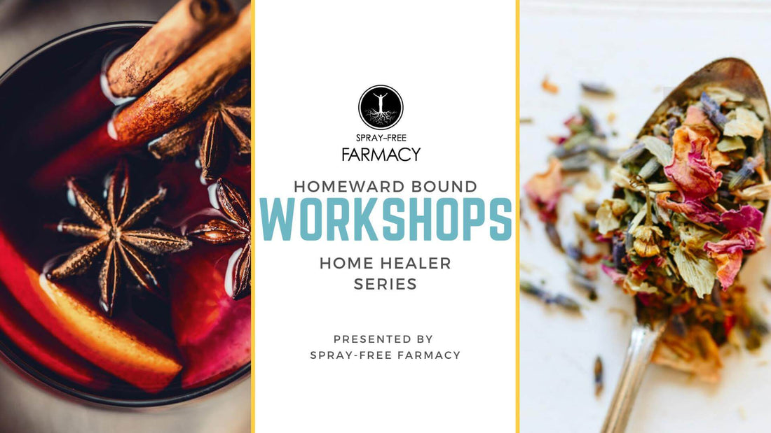 Homeward Bound Workshops