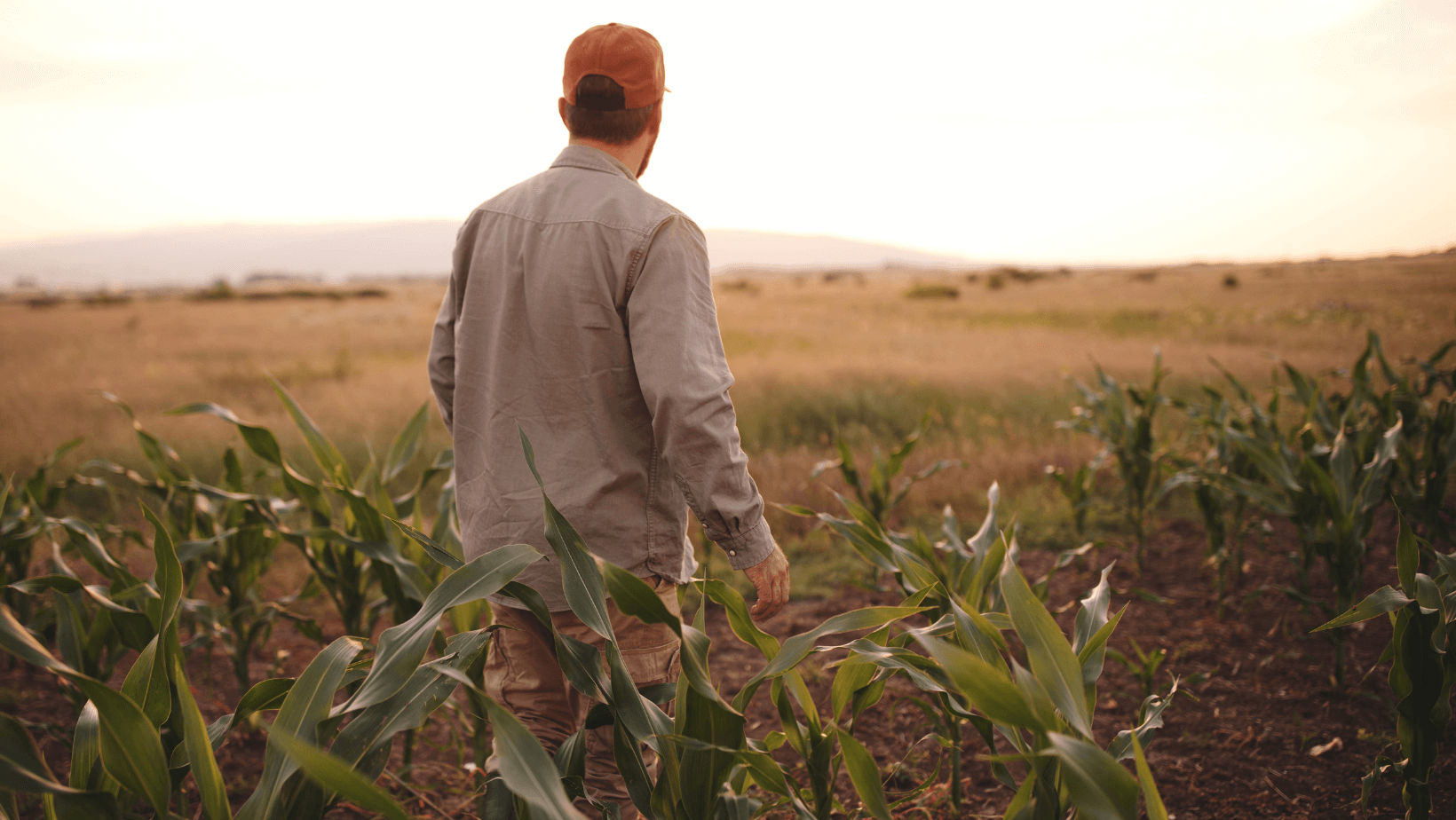 The Aussie Farmer Mental Health Crisis – Joy Wholefoods