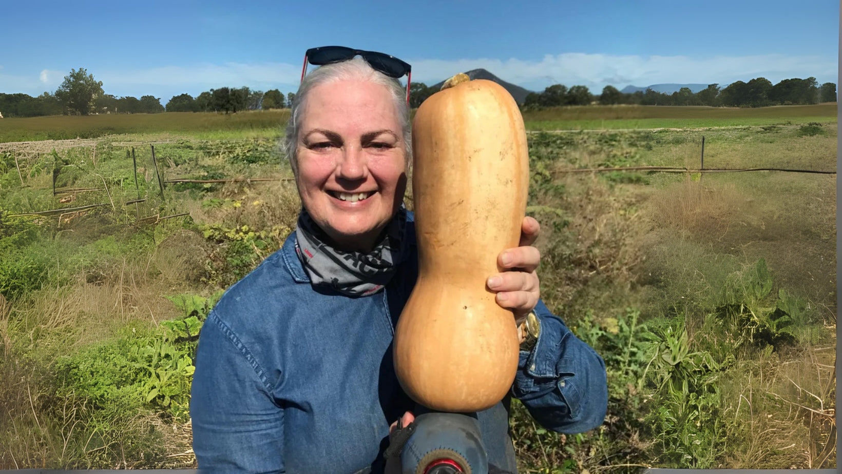 Scenic Rim Organics – Joy Wholefoods