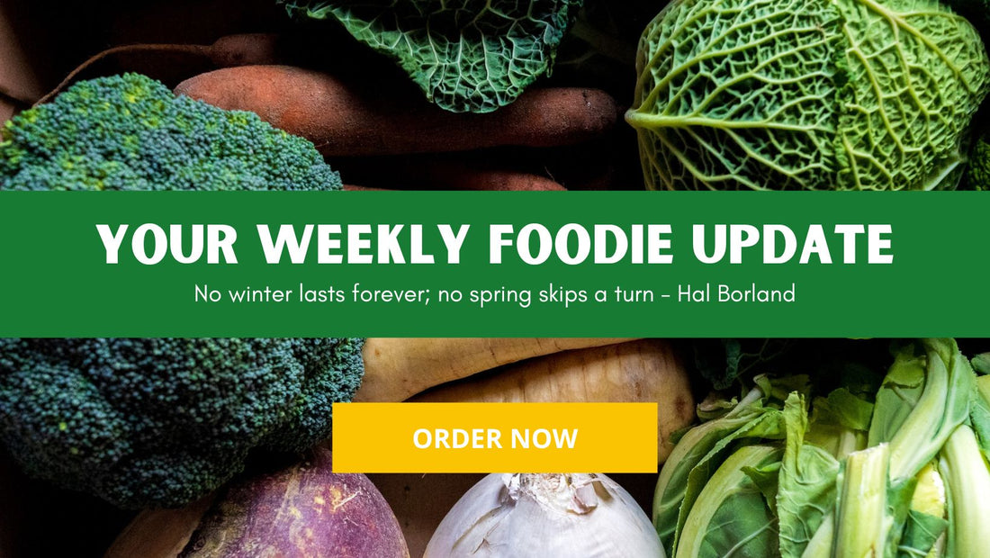 Farmacy Weekly Report 2023 Week #27