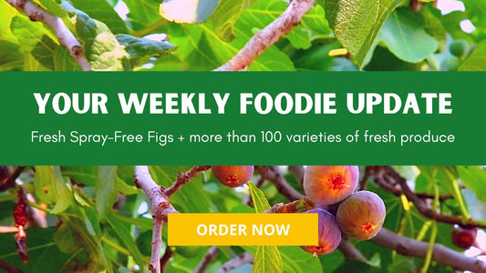 Farmacy Weekly Report 2023 Week #7