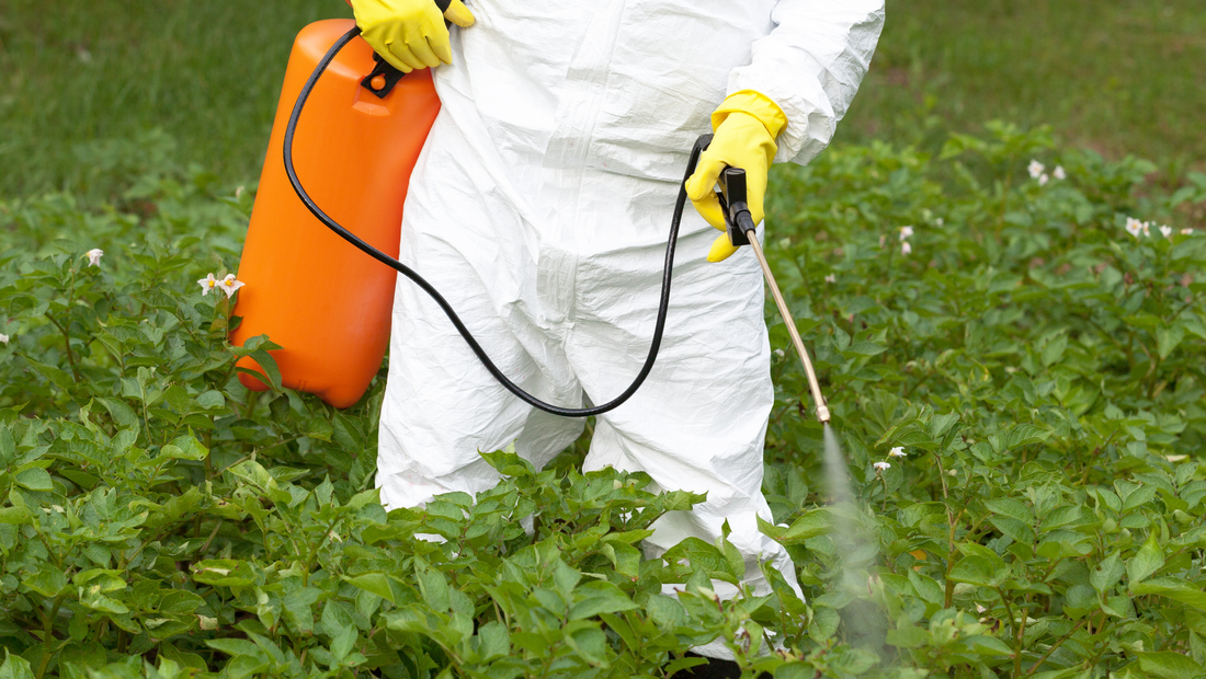 Person in hazmat suit spraying herbicides and pesticides on crops