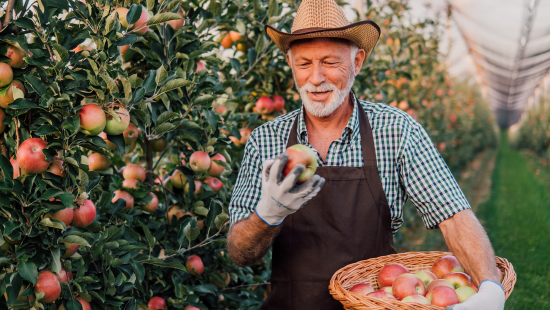 Your Guide to the Dirty Dozen and Clean Fifteen 2026
