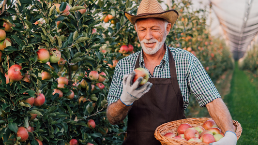 Your Guide to the Dirty Dozen and Clean Fifteen 2026