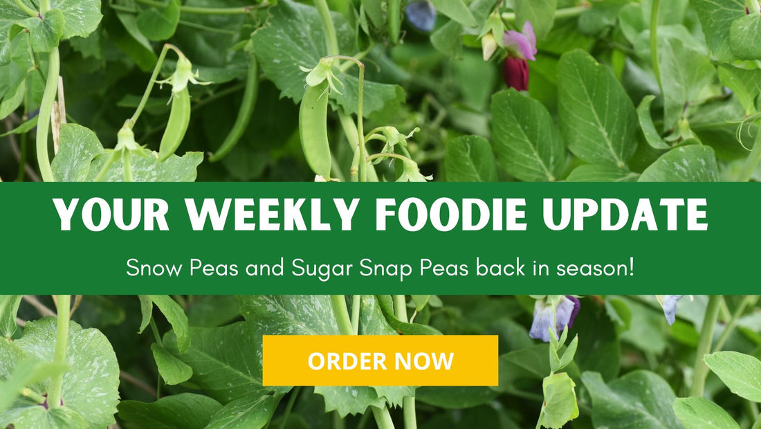 Farmacy Weekly Report 2023 Week #23