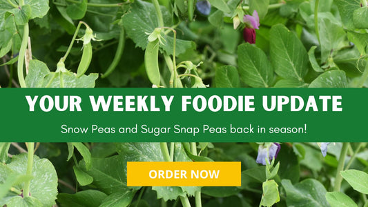 Farmacy Weekly Report 2023 Week #23