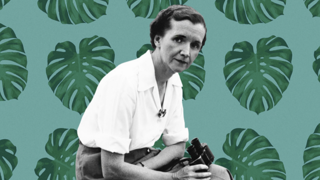 Rachel-Carson-Heroes-Food-World