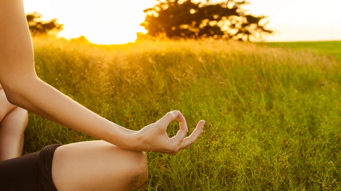Person meditating outdoors in a grassy field at sunset, representing a calm, healthy lifestyle supported by organic food