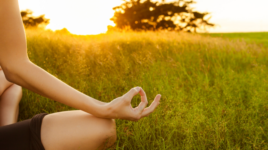 Person meditating outdoors in a grassy field at sunset, representing a calm, healthy lifestyle supported by organic food