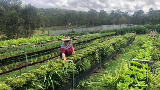Farmer Kel harvesting produce at her farm in Sandy Creek