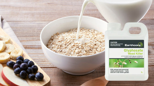 Conventional oats and glyphosate herbicide bottle highlighting the potential presence of glyphosate residues in oats and why many Australians are choosing organic oats.
