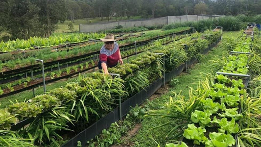 A great example of Water Efficient Farming