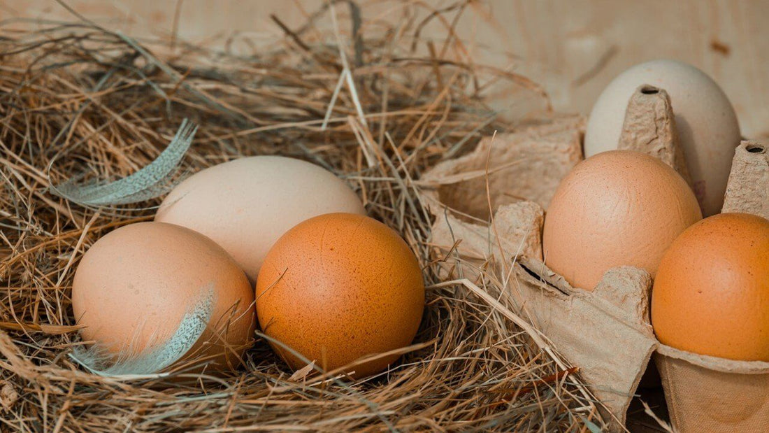 Has your egg been washed?