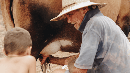 organic-raw-goats-milk-raw-cows-milk-brisbane-gold-coast-sunshine-coast-deliver-organic-box