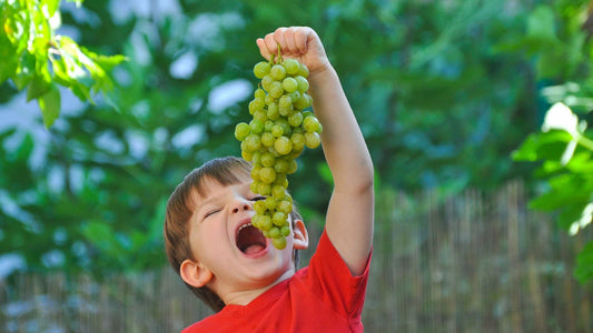 A child reaching for a bunch of fresh green grapes