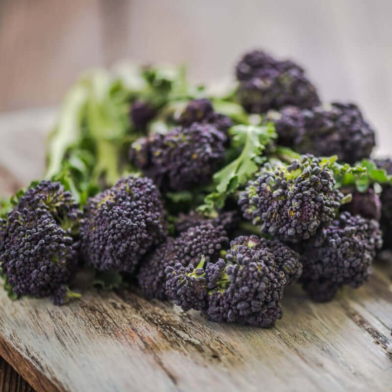 BabyBrocPurple, featured in the Joy Wholefoods online store.