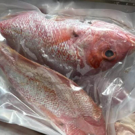 Collins Seafood Whole Crimson Snapper, featured in the Joy Wholefoods online store.