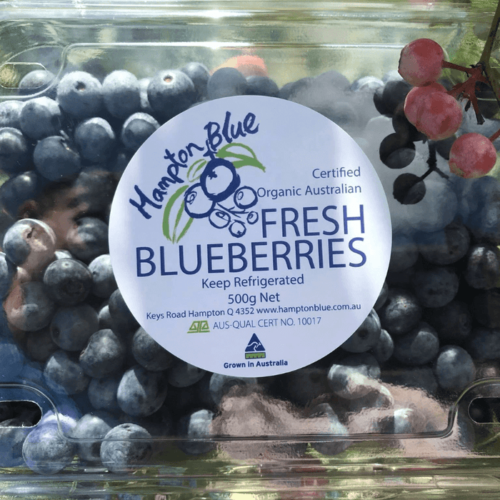 HamptonBlueBlueberries500gmPunnet, featured in the Joy Wholefoods online store.