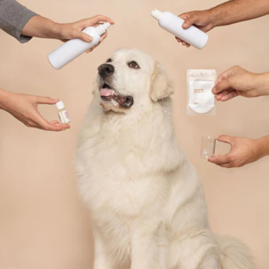 Healthy Pet Care, featured in the Joy Wholefoods online store.