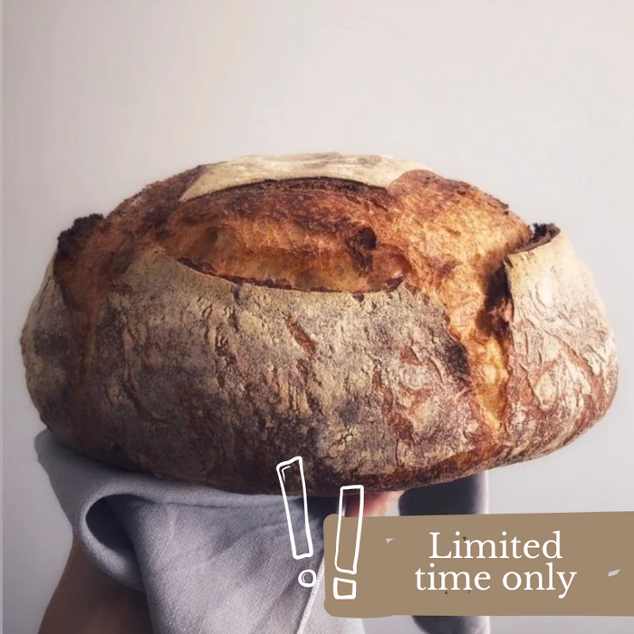 Indie Bakehouse Miso Sunflower Herb Organic sourdough, featured in the Joy Wholefoods online store.