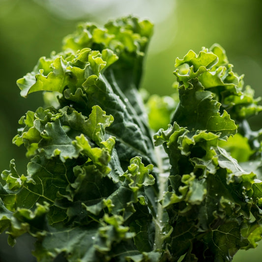 Bunch of kale