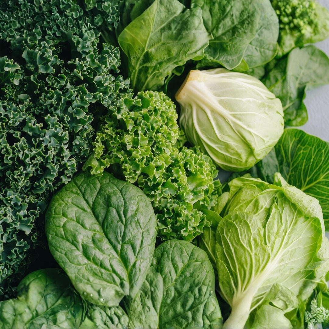 Organic Leafy Greens Sprouts, featured in the Joy Wholefoods online store.