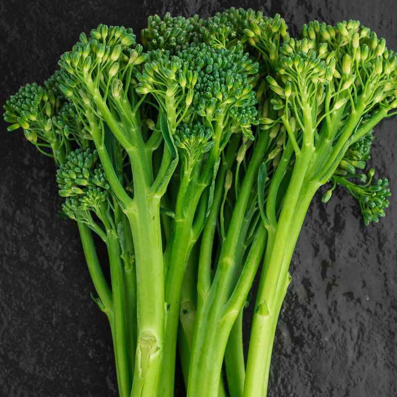 A close-up of several stalks of green broccolini with tightly packed florets, arranged upright against a dark textured background.