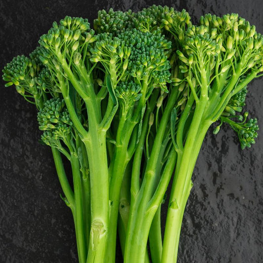 A close-up of several stalks of green broccolini with tightly packed florets, arranged upright against a dark textured background.