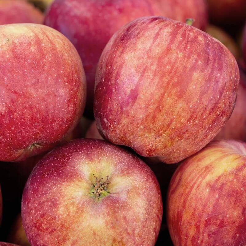R and R Smith Tasmania Organic Apples Braeburn, featured in the Joy Wholefoods online store.