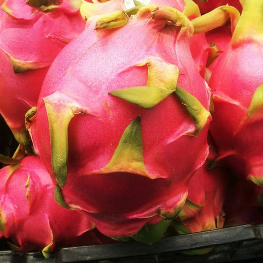 Spray Free Dragonfruit, featured in the Joy Wholefoods online store.