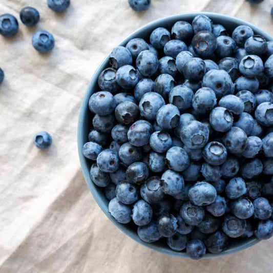 a big bowl of certified organic blueberries