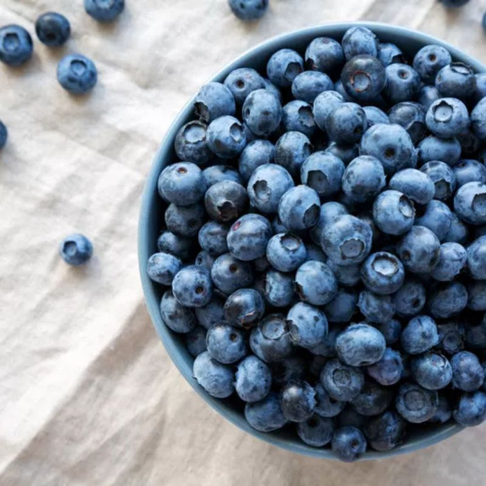 a big bowl of certified organic blueberries