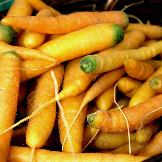 Spray Free Farmacy Carrots Yellow, featured in the Joy Wholefoods online store.