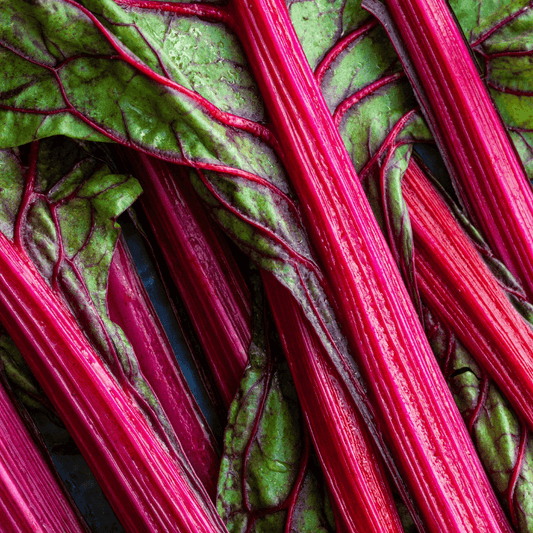 Spray Free Farmacy Rhubarb, featured in the Joy Wholefoods online store.
