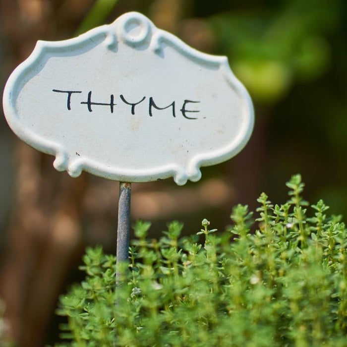 Spray Free Farmacy Thyme, featured in the Joy Wholefoods online store.