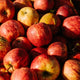 Certified Organic Food