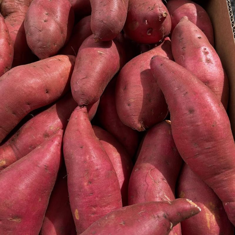 Sweet Potatoes Red Organic, featured in the Joy Wholefoods online store.