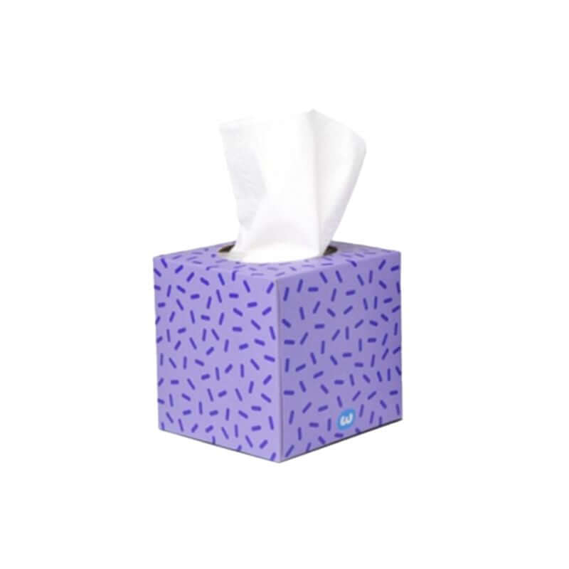 Who Gives A Crap 100 Bamboo Tissues, featured in the Joy Wholefoods online store.