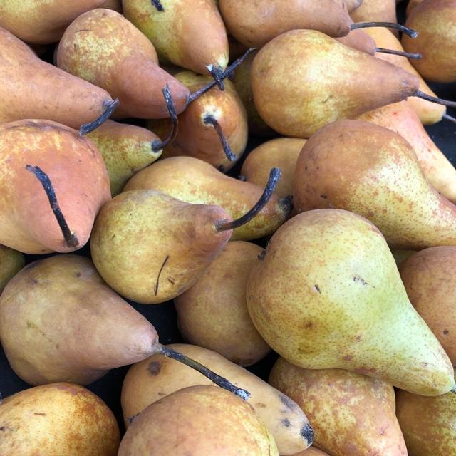 Bosc pear organic spray free local farmers, featured in the Joy Wholefoods online store.